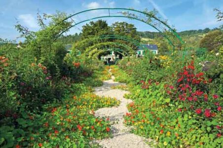 How to Grow Nasturtiums Image